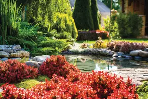 beautiful landscaping with beautiful plants and flowers
511872894
Landscaped, Gazebo, Grass, Gardening, Relaxation, Spirituality, Red, Nature, Tree, Day, Summer, Pond, Lake, Waterfall, Decoration, Front or Back Yard, Formalwear, natural materials