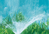 Landscape of irrigation garden. Lawn sprinkler spraying water over green grass.  Irrigation system - technique of watering in the garden.; Shutterstock ID 133096526; purchase_order: -; job: -; client: -; other: -
133096526
agriculture, device, drop, droplet, environment, equipment, fresh, garden, gardening, grass, green, growth, irrigate, irrigation, landscape, landscaping, lawn, liquid, maintenance, modern, moisture, nature, outdoor, paving, pipe, plastic, refreshing, rural, shower, splash, spray, sprayer, sprinkle, sprinkler, sprinkling, system, technology, tool, turf, water, wet, yard
