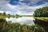 A view of the small country lake with a village and green forest in the background, Latvia
pond, farm, landscape, rural, blue, summer, countryside, green, reflection, scenic, country, background, sky, beautiful, nature, color, county, fields, red, ponds, water, colorful, outdoor, outdoors, field, agriculture, clouds, scenery, lake, warm, hill, farmland, agricultural, barn, hills, view, trees, latvia, europe, nobody, clear, sunny, cloudy, fresh, grass, park, light, sun, sunlight, summertime