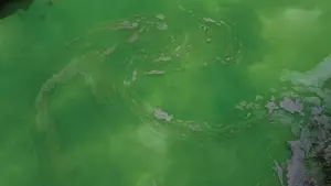 Lake with Residuals
contaminated, Copper Mine, dump, Environmental Damage, environmental disaster, flooded, industrial, lake, leak, mining water, polluted water, pond, red, romania, Rosia Poieni, sterile, taint, toxic, waste, cyanide, tailings, geamana, aerial
Aerial View Over Lake Polluted With Toxic Mining Residuals Tailings From an Open Pit Copper Mine in Geamana, Rosia Poieni, Romania.
