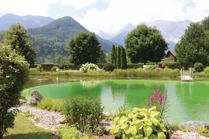 Swimming Pond in a beautiful Garden, Schwimmteich in einer gepflegten Gartenanlage
schwimmteich, schwimmbecken, garten, gartenanlage, schwimmen, teich, stauden, staudengarten, schwimmteich-anlage, schwimmteichanlage, schwimmteiche, schwimmteichanlagen, schwimmteiche anlegen, schwimmteich anlegen, staude, bepflanzung, gehölze, wassergarten, swimmingpool, pool, pools, naturnaher garten, naturnahe gärten, teichbepflanzung, teichbepflanzungen, teich-bepflanzung, teich-bepflanzungen, schwimmteichbepflanzung, schwimmteichbepflanzungen, schwimmteich-bepflanzung, schwimmteich-bepflanzungen, pflanzen, pflanze, blumen, bäume, baum, baumarten, büsche, sträucher, berge, landschaft, gartenplanungen, gartenplanung, garten anlegen, gartenanlagen, gepflegte gartenanlagen, wasser, gewässer, see, swimmingpools