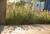 FOT_WB_PFGA_0635_#SALL_#AINJPG_#V1.jpg
